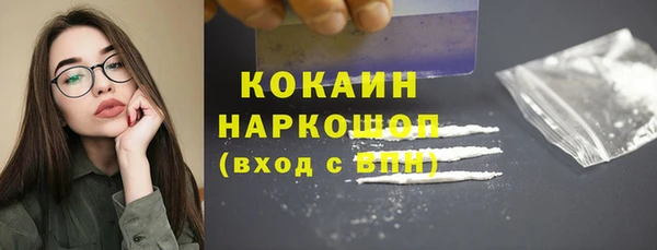 apvp Алексин